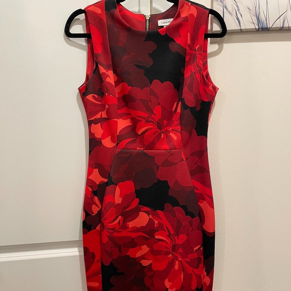 Calvin Klein Romantic Red Dress sz. 6